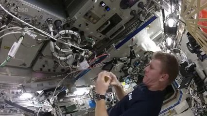 Astronaut shows us how to make scrambled eggs in space!