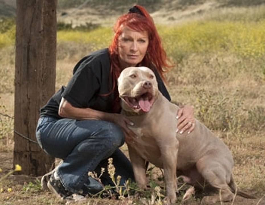 pitbulls et prisonniers - épisode 5 - en français