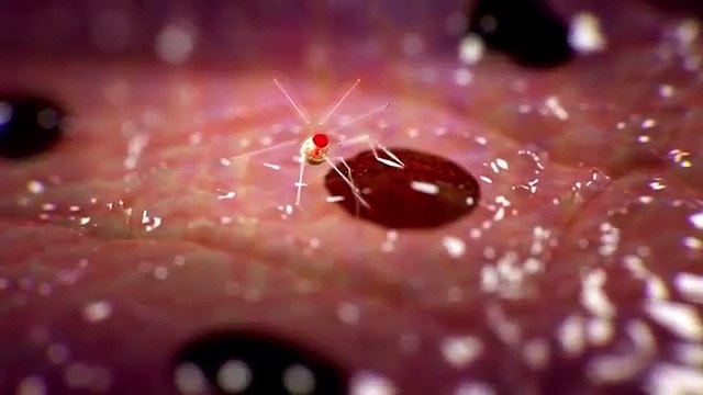 Волшебная лаборатория - Нанотехнология - Введение (Часть 1)