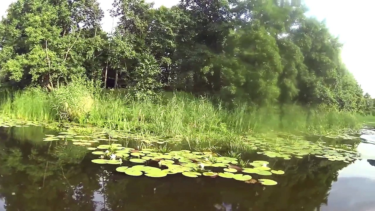 На катере по реке Воронеж
