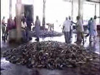 LE RETOUR DES PECHEURS