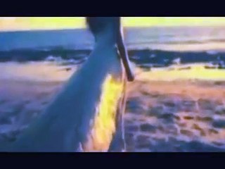 PARA OLVIDAR UN AMOR con letra Siempre Así by mirandoalmar68 Pepe GuzmÁn