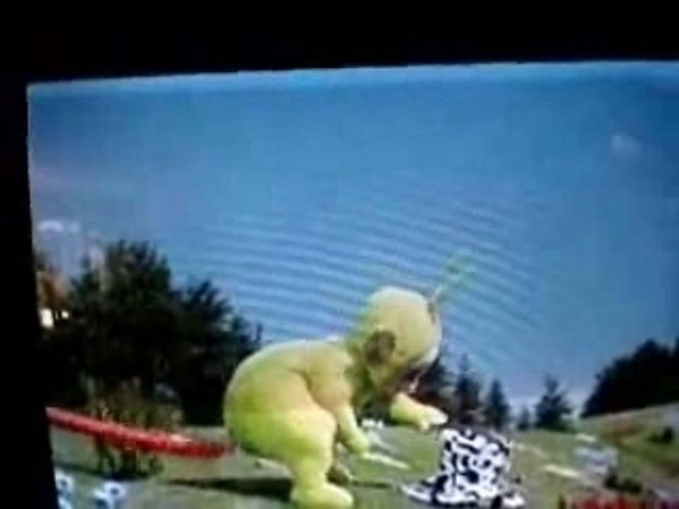 Teletubbies Gone Wild