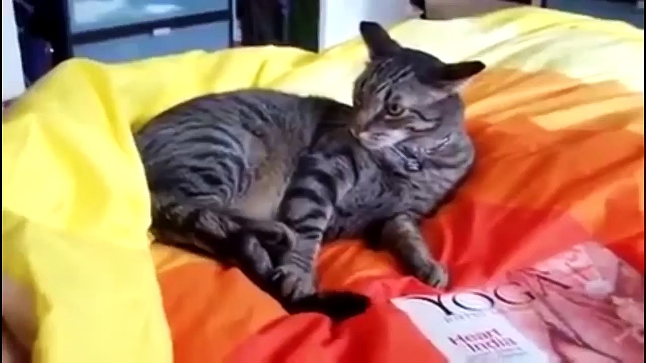 Приколы Сборник смешных приколов Смешно до боли - ''9''