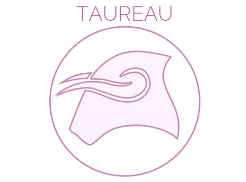 Exclu Vidéo : TAUREAU : Le vent souffle le chaud et le froid