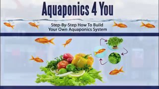 How to build an aquaponics system? aquaponics 4 you system
