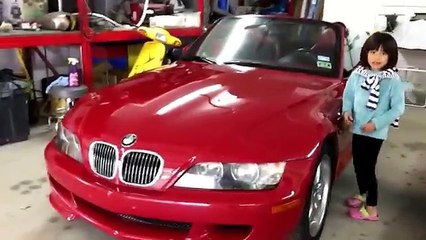 Learn Auto Body and Paint 2000 BMW Z3 M - New Touch-up Project