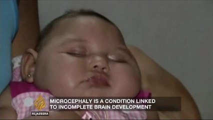 Inside Story - Will global efforts to contain the Zika virus succeed?