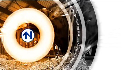 Het Weer: Harma bie de boer [1-2-2016] - RTV Noord