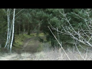 Courte-Affection: Entre Viviane et Valentine 💖