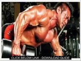 Weight Training Routines   2 X 4 Maximum Strength Program Review Guide