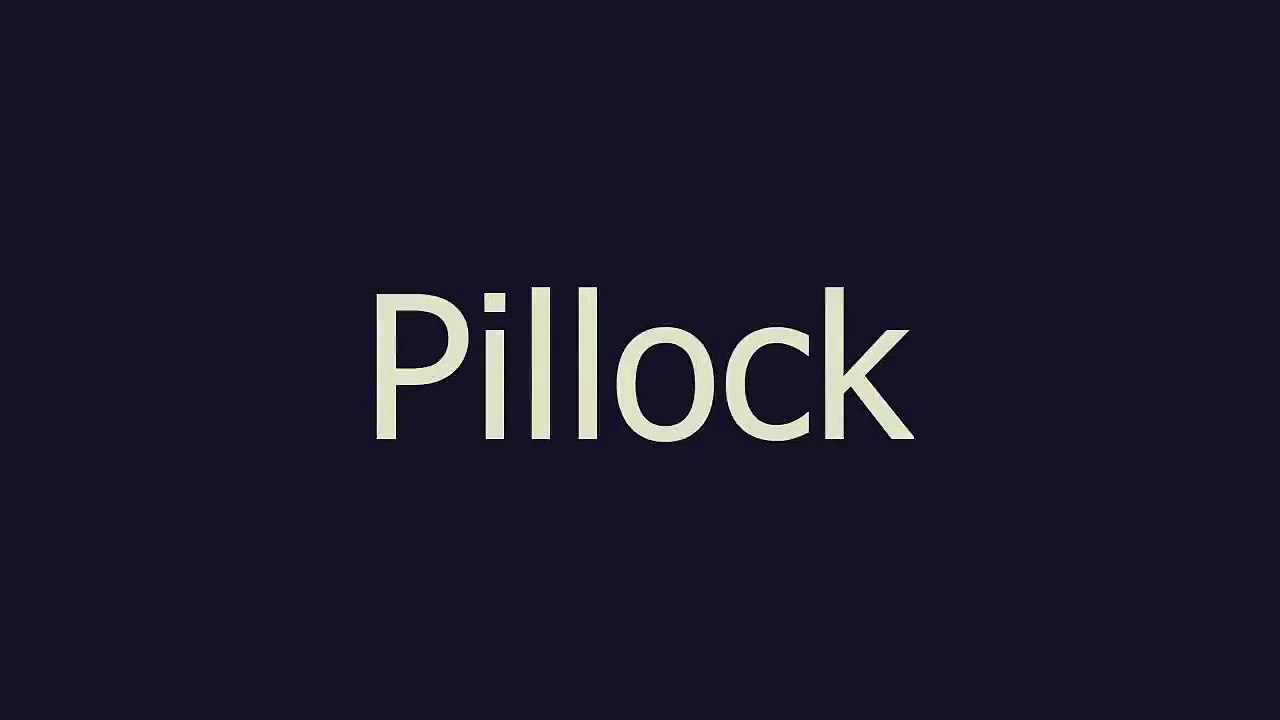 Pillock meaning and pronunciation