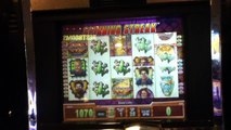 SURVIVOR Slot Machine with FROG SPINNING STREAK and a BIG WIN Las Vegas casino