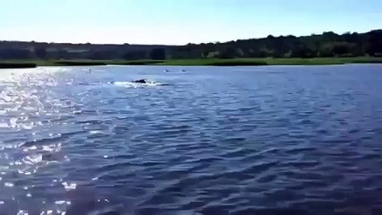 Ожидали увидить кого угодно, но только не его !