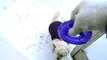 My Bichon Frise Lilly Playing In the Snow After Huge Blizzard 01/25/14