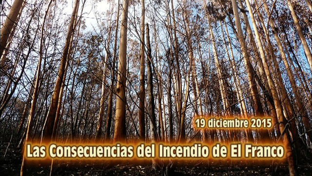 Las consecuencias del Incendio del Occidente