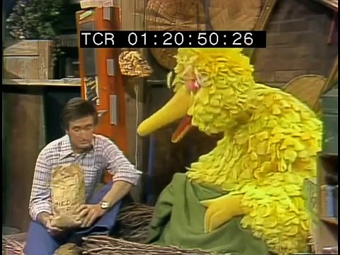 Classic Sesame Street - Segments from 1291