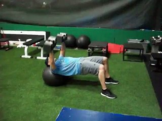 Speed Encyclopedia-Stability Ball Dumbell Press