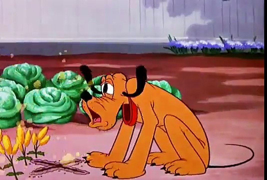 Old Disney Cartoons  Pluto   Bone Bandit