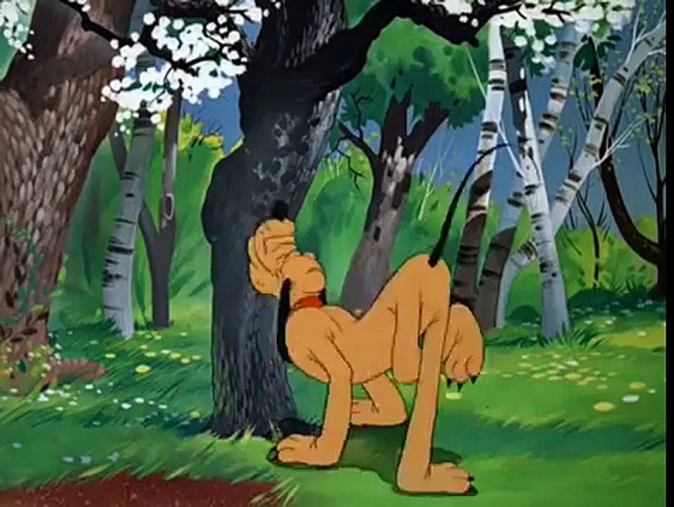 Disney Jr  Pluto   Springtime For Pluto