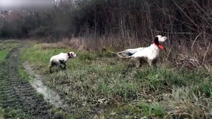 Команда - застыть!