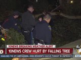 10News crew hurt by falling tree