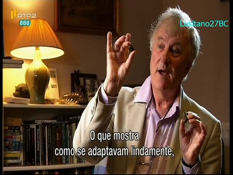 Maravilha das Maravilhas, Ep.5, Extinção, Um Final e Um Recomeço