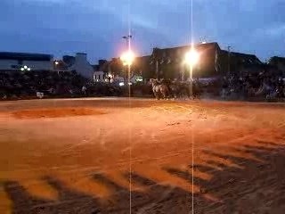 troupe tao au char romain