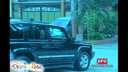 Destiny Rose: A new hope