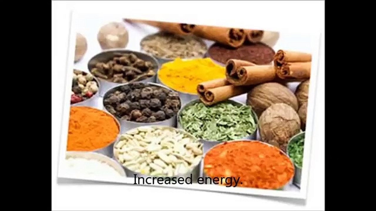 1000 Paleo Recipes