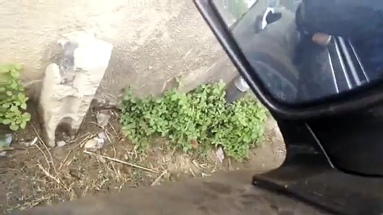 Bruit bizzare a lacceleration 407 hdi