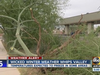 Wicked winter weather whips Valley