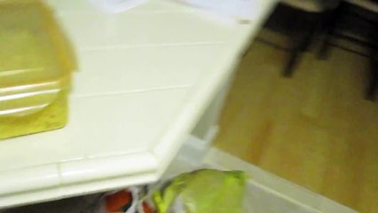 Girlfriend Gets Wet Noodled