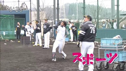 春季キャンプ 初日 ニュースまとめ