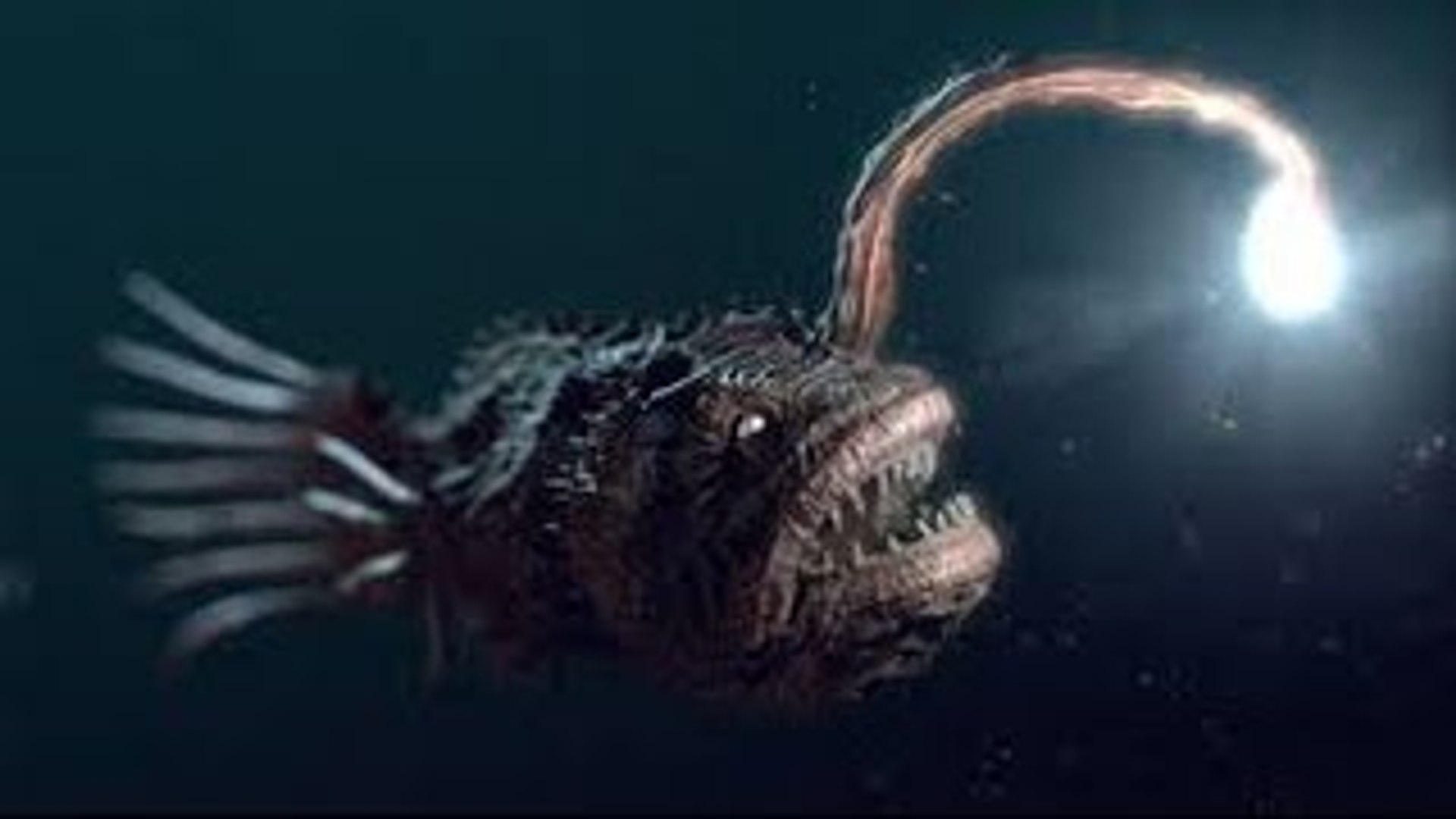⁣HIDDEN PREDATORS HUNTING Sneakiest Animals On The Planet [Animal Nature Documentary]