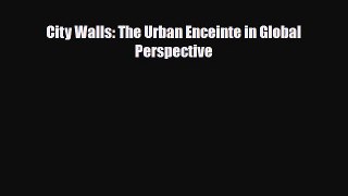 [PDF Download] City Walls: The Urban Enceinte in Global Perspective [Read] Online