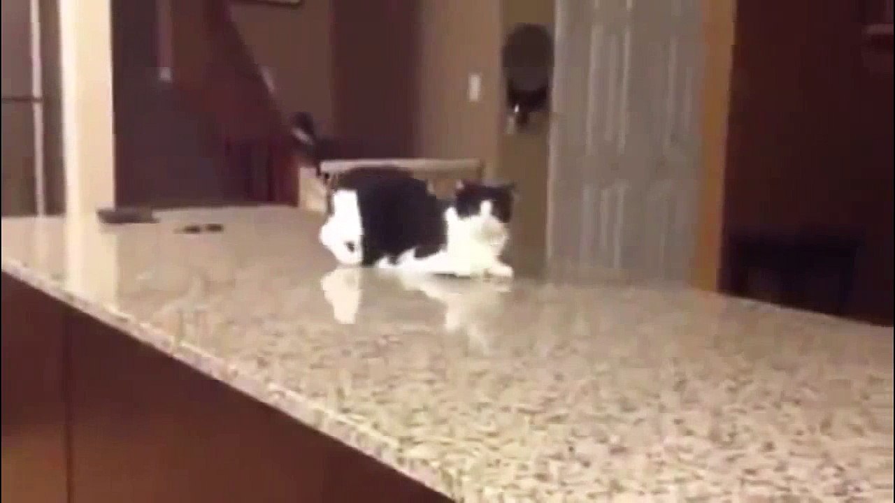 Try Not To Laugh