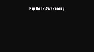 Big Book Awakening Read Online PDF