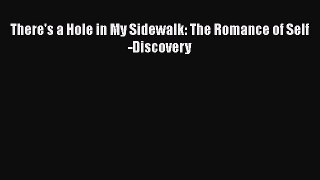 There's a Hole in My Sidewalk: The Romance of Self-Discovery  PDF Download