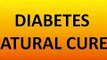 Natural Diabetes Treatment   NEW   Natural Diabetes Treatment SrOht0JXRJo