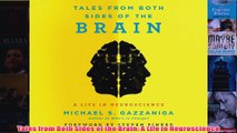 FREE PDF  Tales from Both Sides of the Brain A Life in Neuroscience FULL DOWNLOAD