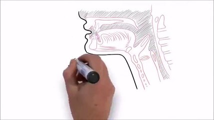 Learn To Sing - Superior Singing Method