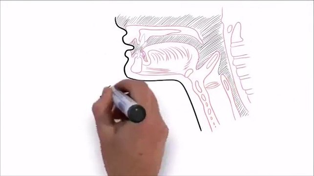 Learn To Sing - Superior Singing Method