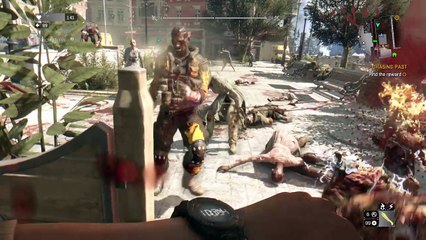 Dying Light random stuff