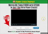 Penny Stock Prophet Review - Scam or Legit?