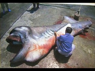 Паранормальные явления. Загадки нашей планеты.