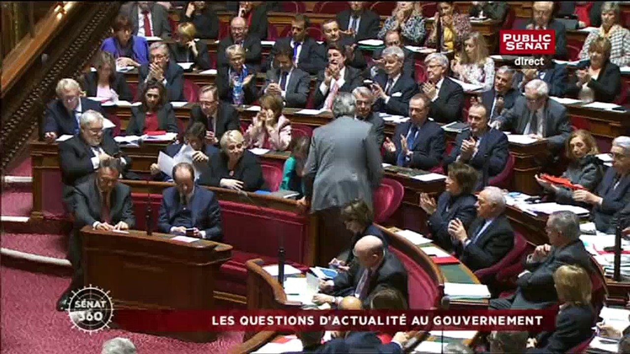 Ce sénateur qui, dans l'hémicycle, évoque Pamela Anderson et "le botox qui finit dans le cerveau"