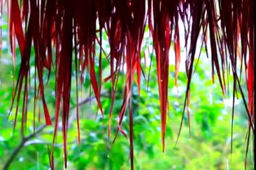 Relaxing Music for Children: Calming Sounds for Learning and Harmony