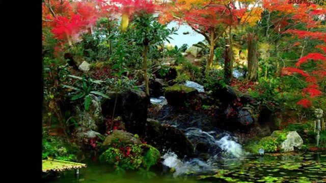 Ландшафтный дизайн. Японский сад