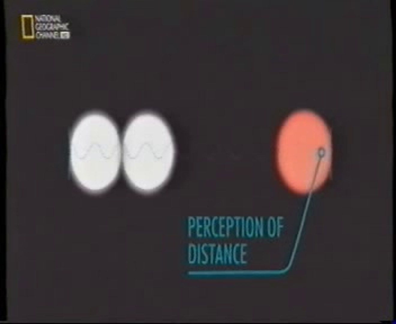 Ilusion Kappa: Percepcion de tiempo y distancia - Vídeo Dailymotion